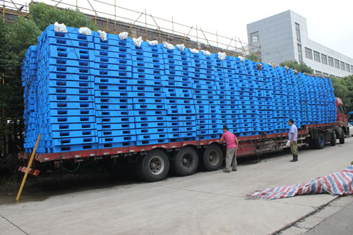 IMG_3787.jpg IMG_3787.jpg