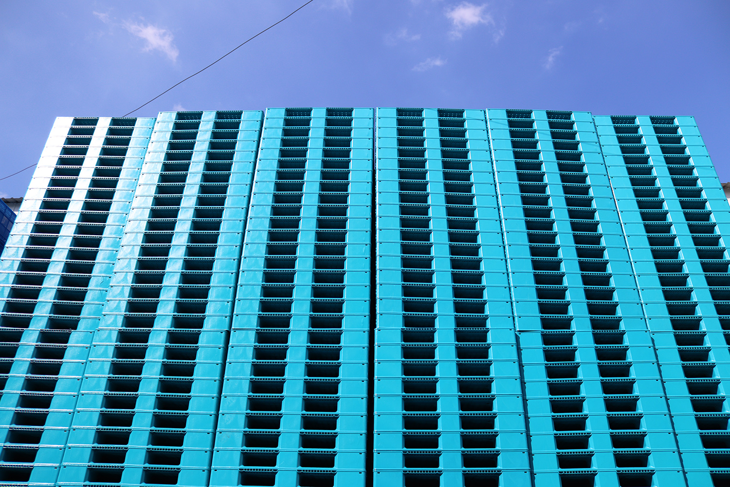 IMG_5292.jpg IMG_5292.jpg