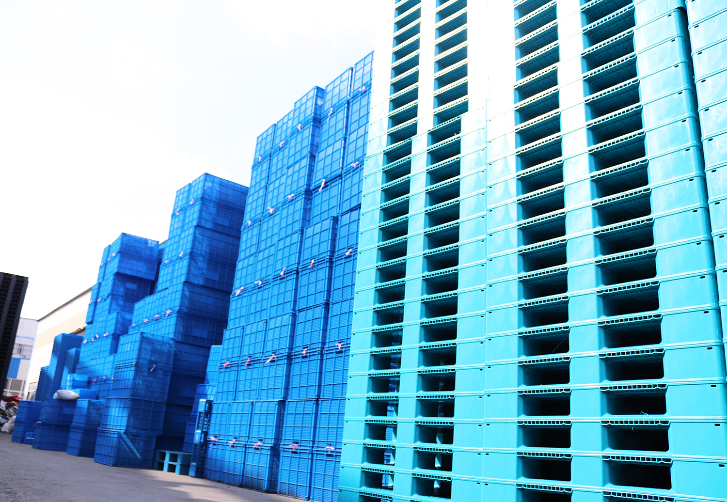 IMG_5291.jpg IMG_5291.jpg