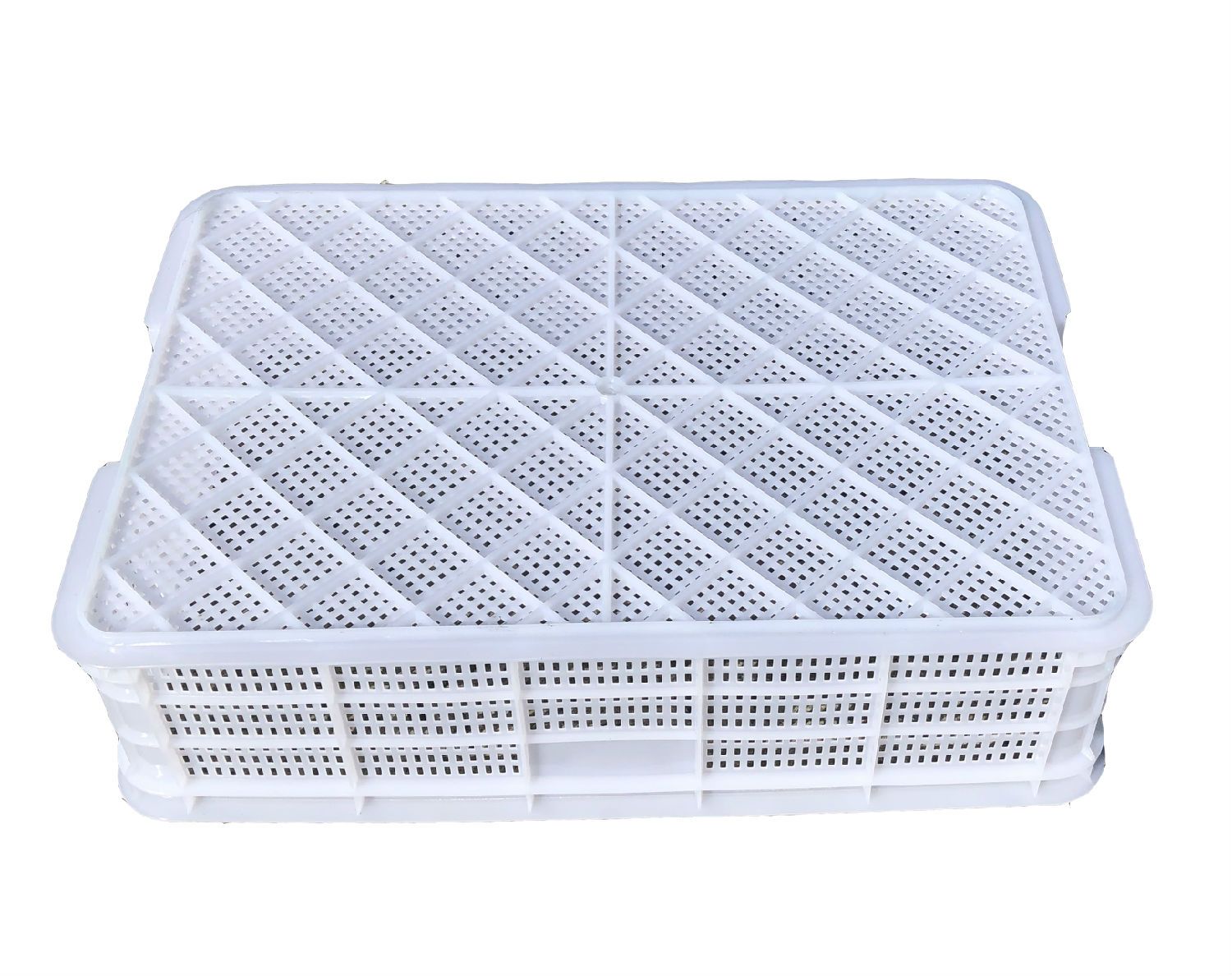 蝦苗筐.jpg 蝦苗筐.jpg