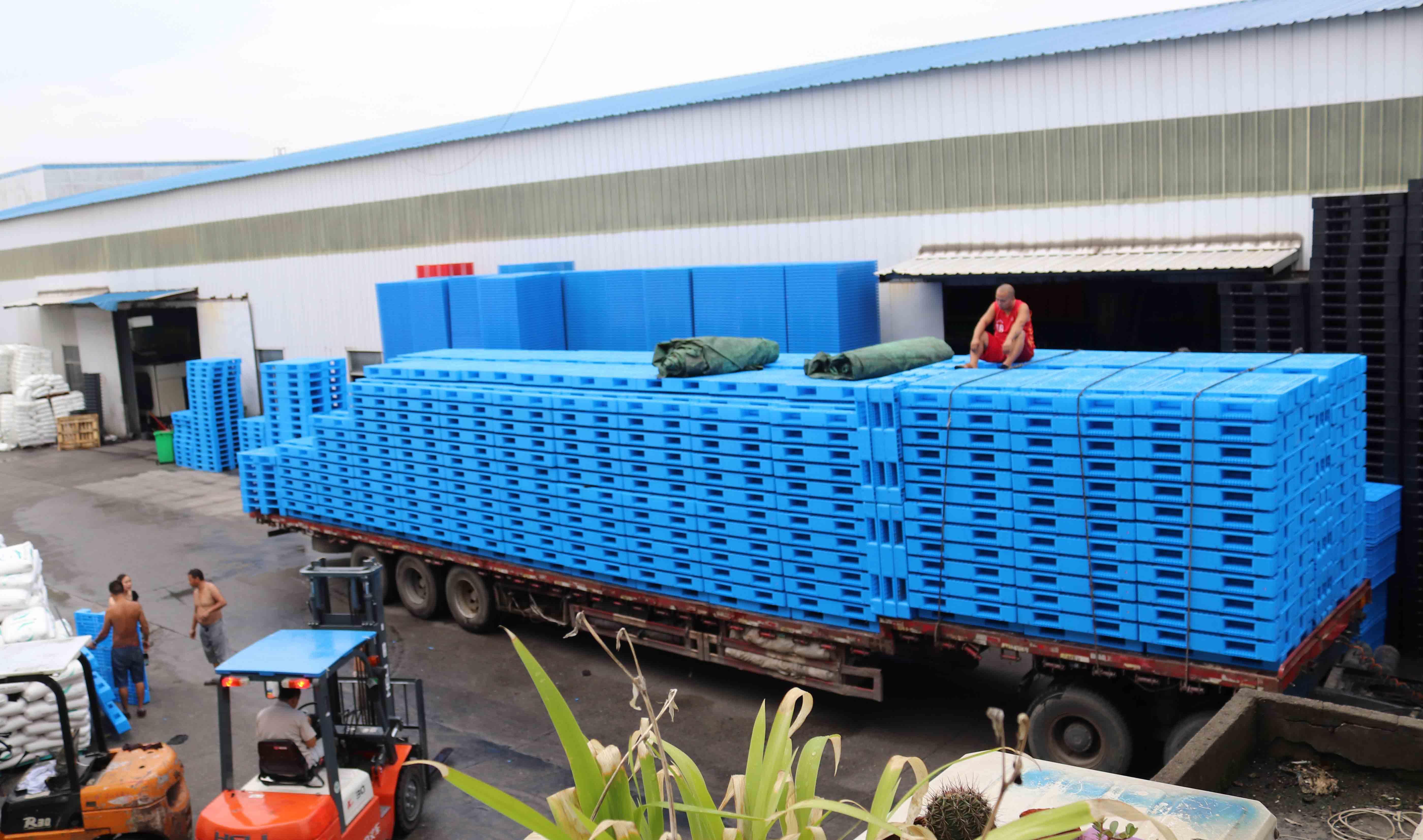 塑料托盤高考卷，你能滿分算我輸！