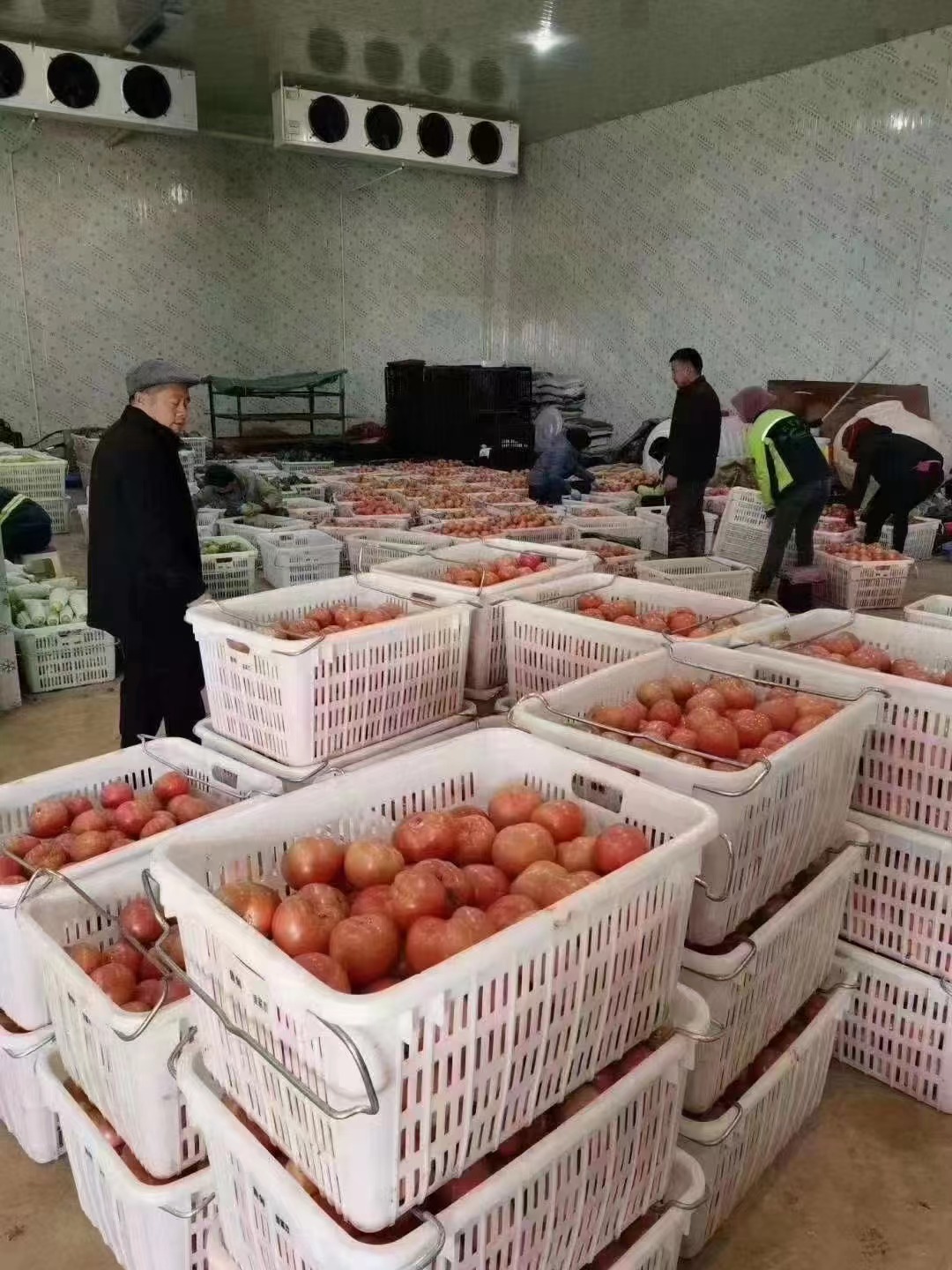 物流包裝周轉(zhuǎn)筐：供應(yīng)鏈的無(wú)聲革命者與效率基石